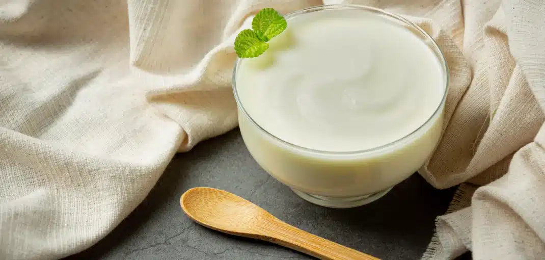 Fromage blanc : l’or blanc de la musculation ?
