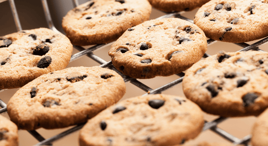 Cookies protéinés Squad Nutrition